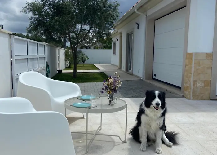 Charming With Private Poll *